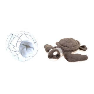 Hatchlings Green Sea Turtle 6"