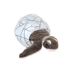 Hatchlings