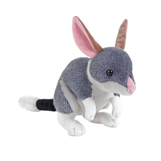 Cuddlekins Mini Bilby 8"