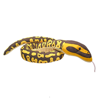 Snakesss Eco Ball Python 54"
