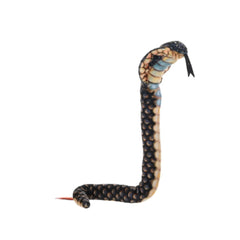 Coilkins
