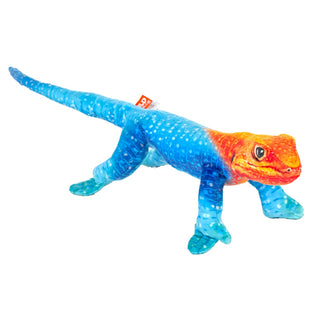 Coilkins Reptile Male Rainbow Lizard 12"