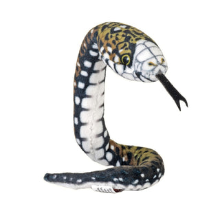 Coilkins Snake Sabah Keel Back 12"