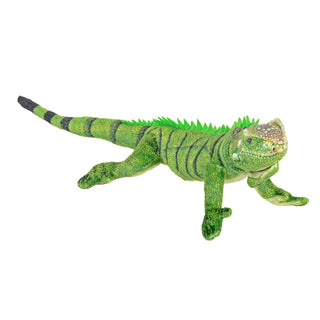 Coilkins Reptile Green Iguana 12"