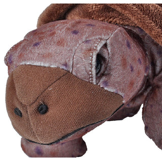 Cuddlekins Tortoise 12"