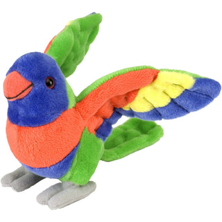 Cuddlekins Mini Lorikeet 8"