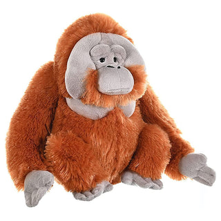 Cuddlekins Male Orangutan 12"