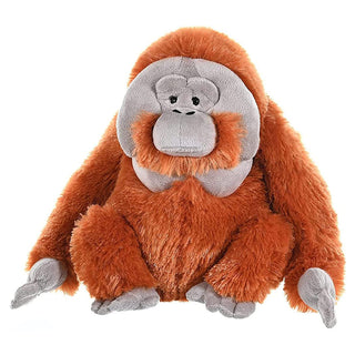 Cuddlekins Male Orangutan 12"