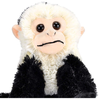 Cuddlekins Mini Capuchin 8"