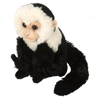 Cuddlekins Mini Capuchin 8"