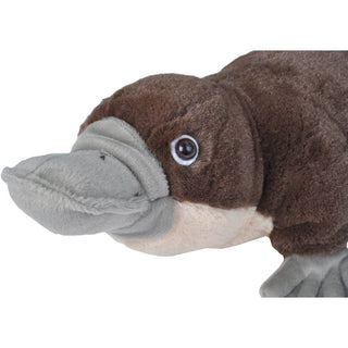Cuddlekins Platypus 12"
