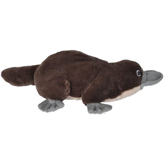 Cuddlekins Platypus 12"