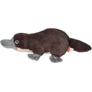 Cuddlekins Platypus 12"