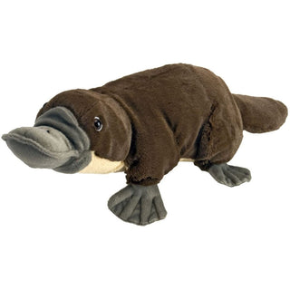 Cuddlekins Platypus 12"