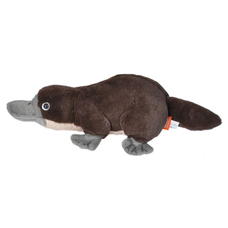 Cuddlekins Mini Platypus 8"