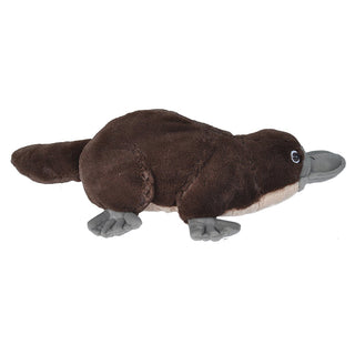 Cuddlekins Mini Platypus 8"