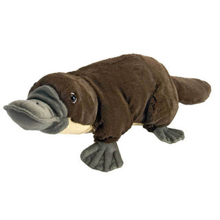 Cuddlekins Mini Platypus 8"