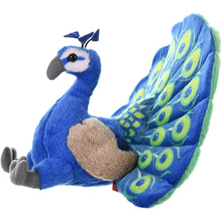 Cuddlekins Peacock  12"