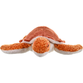 Cuddlekins Loggerhead Sea Turtle 15"