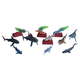 Adventure Bucket Shark