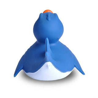 Rubber Duck Shark