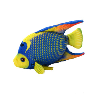 Coral Reef Queen Angelfish 6"