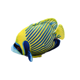 Coral Reef Emperor Angelfish 6"