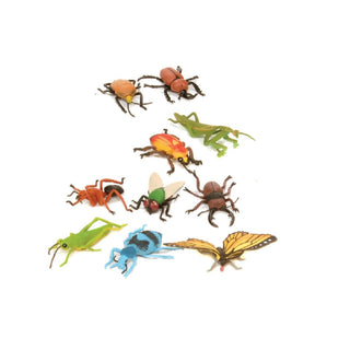Polybag Insect Collection