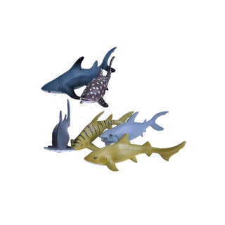 Polybag Shark Collection